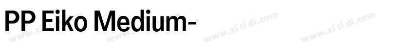 PP Eiko Medium字体转换 PP Eiko Medium字体转换